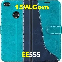 Sistemas de Segurança EE555